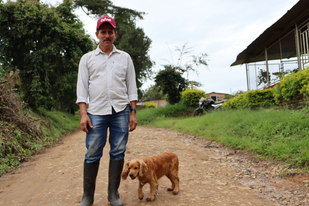 Colombia - Villa Betulia Yirgacheffe Natural (Limited Edition)